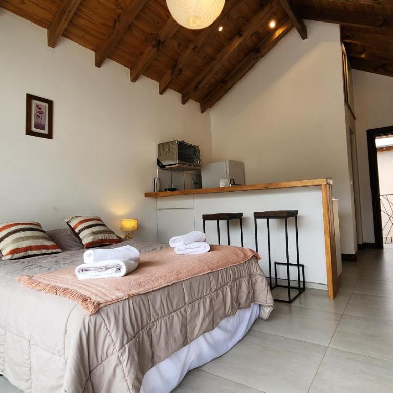 Aluen - Andarlibre - Estudio con 1 cama grande - 8