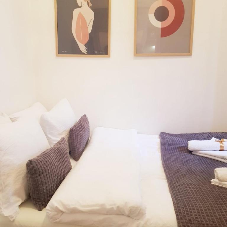 Beogradjanka CITY CENTAR cozy apartment - Apartman sa 1 Spavaćom Sobom - 2