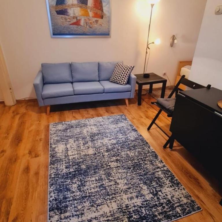 Beogradjanka CITY CENTAR cozy apartment - Apartman sa 1 Spavaćom Sobom - 1