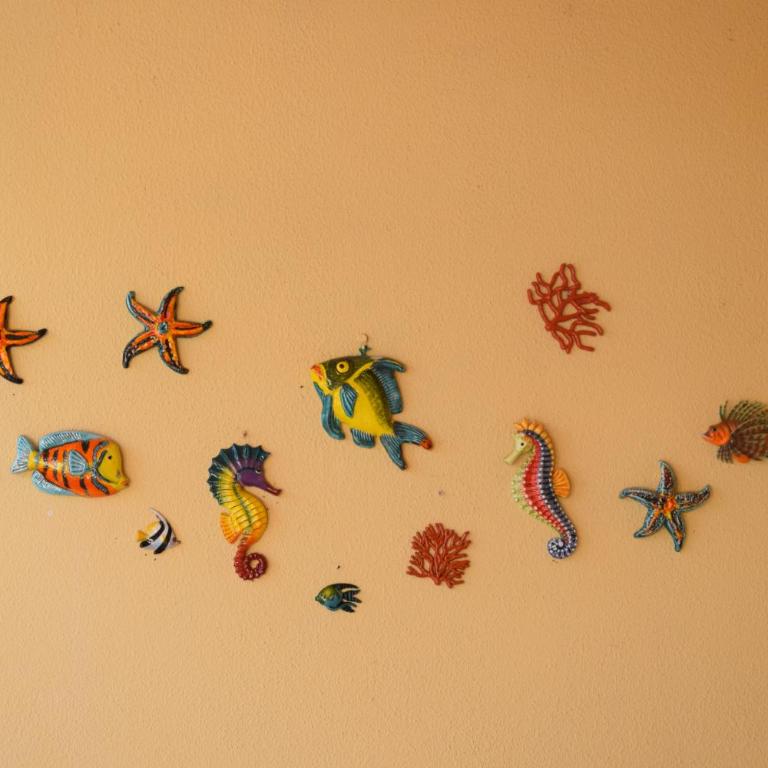 Finestra sul mare - Casa Vacanze - 9