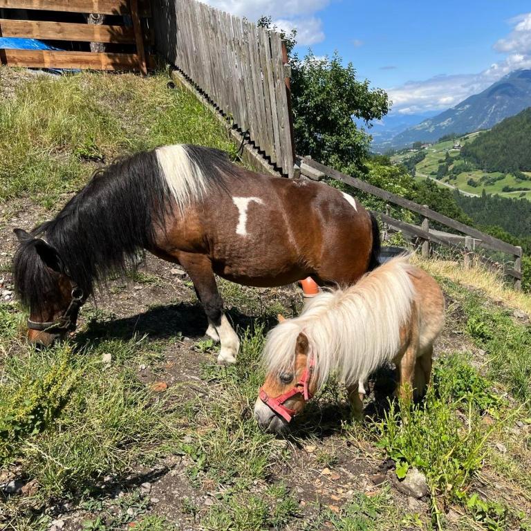 Landhaus Alpenzeit - Apartment mit 3 Schlafzimmern und Dusche - 6