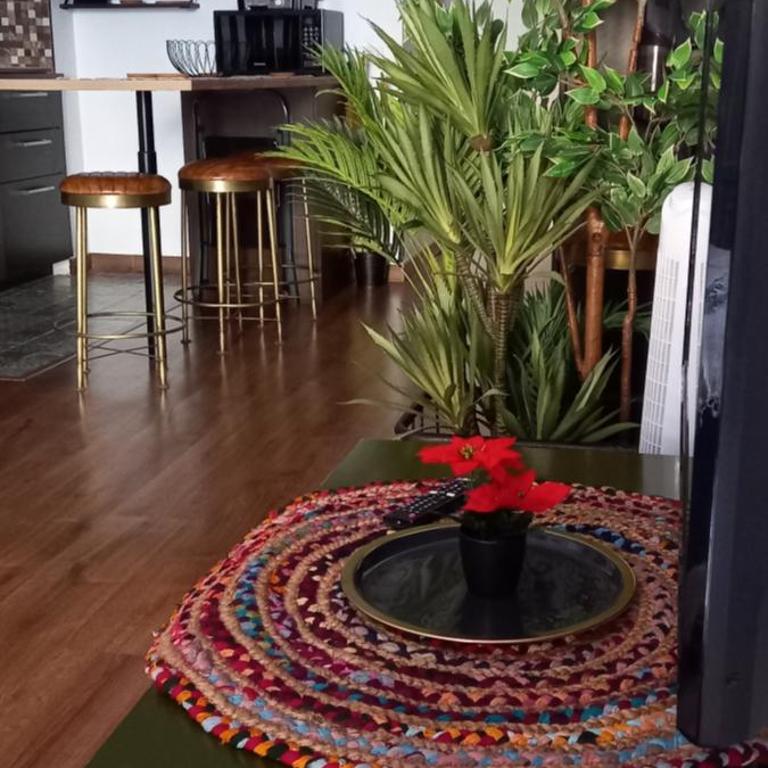 MAREZIA - One-Bedroom Apartment - 25