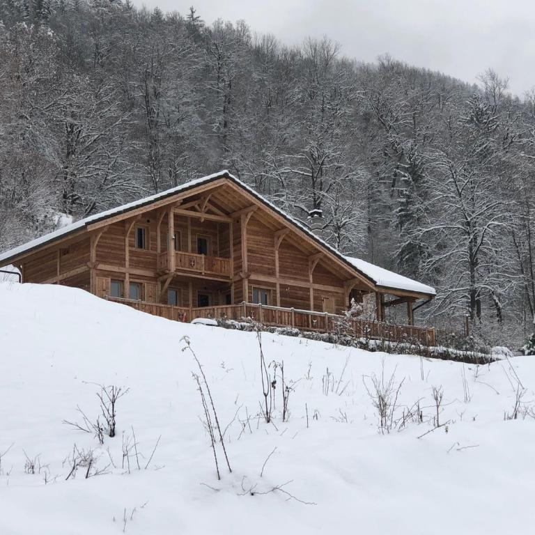 Chalet savoyard d'exception avec piscine chauffée - Chalet - 1