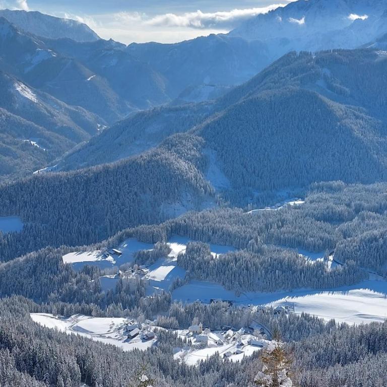 Alpenloft Theresia - Apartment mit 1 Schlafzimmer - 51