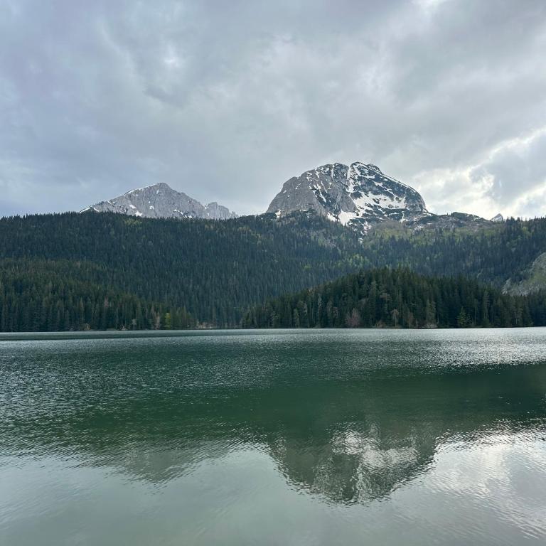 Apartman Mountain pine - One-Bedroom Apartment - 16