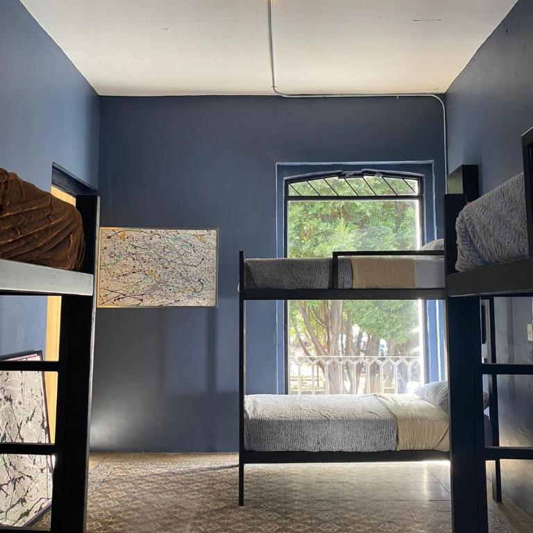 Choco Hostel - Bunk Bed in Female Dormitory Room - 8
