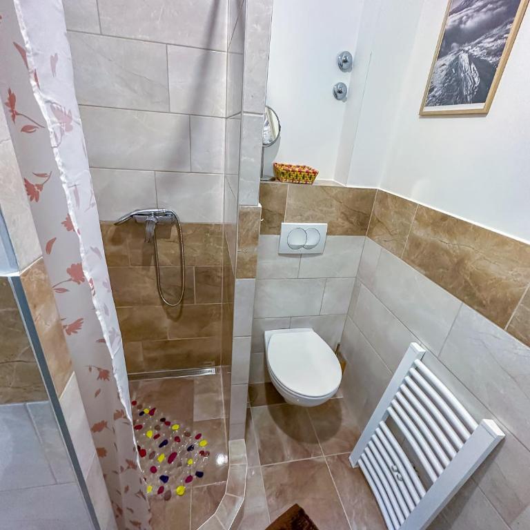 Praška zima - Apartman Tipa "Suite" sa 1 Spavaćom Sobom - 11