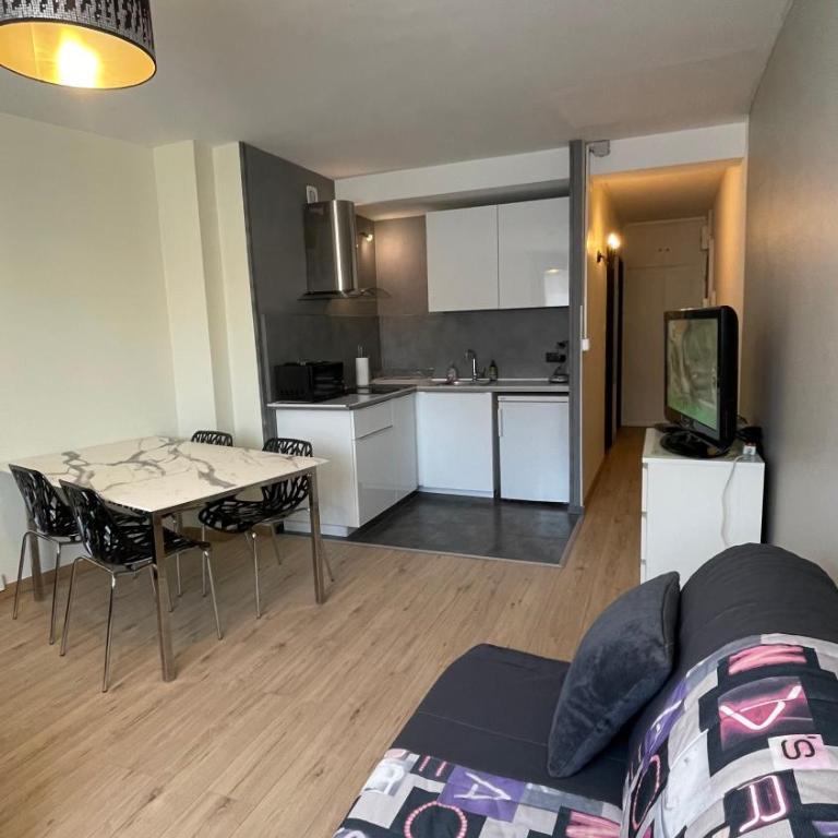 GRAND STUDIO proche du centre ville - Appartamento con 1 Camera da Letto - 1