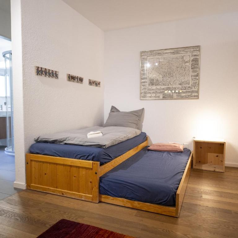 Brentschpark Wohnung C 96 - Apartment mit Blick auf die Berge - 17