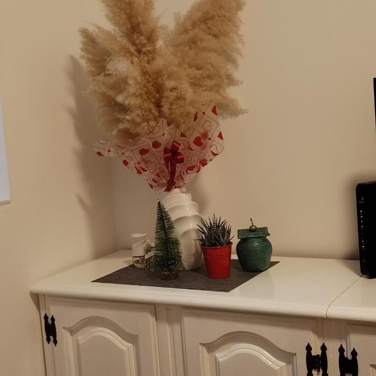 Kaja - Apartman sa 1 Spavaćom Sobom - 2