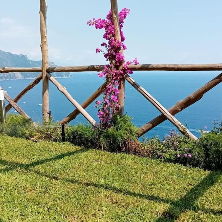 Villa Alba - Rubino - Appartamento con 2 Camere da Letto - 1