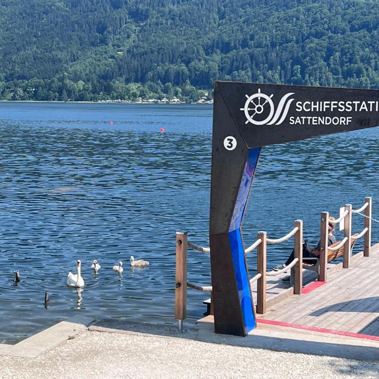 Ferienwohnung mit Seeblick - Ossiacher See Gerlitzen - Apartment mit Seeblick - 29