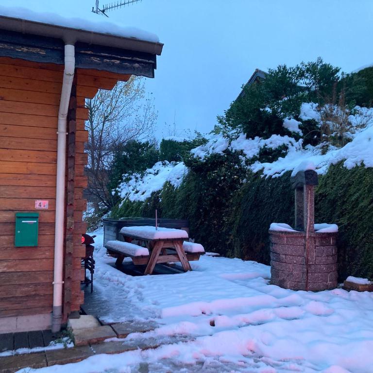 Entre Lac et Pistes de Ski - Chalet - 39