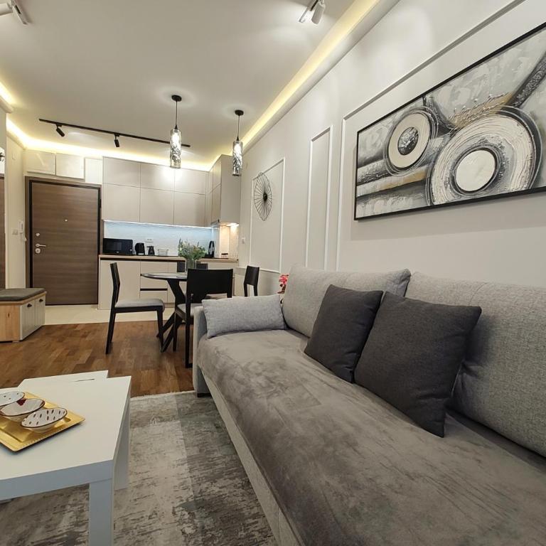 Apartman Primus Zlatibor sa bazenom,spa&wellness centrom-Velika recepcija 125 - Apartman sa 1 Spavaćom Sobom - 36