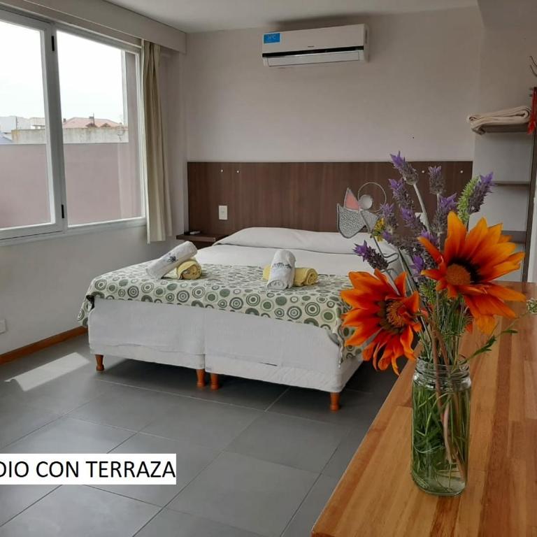 Cabañas Agreste - Studio with Terrace - 31