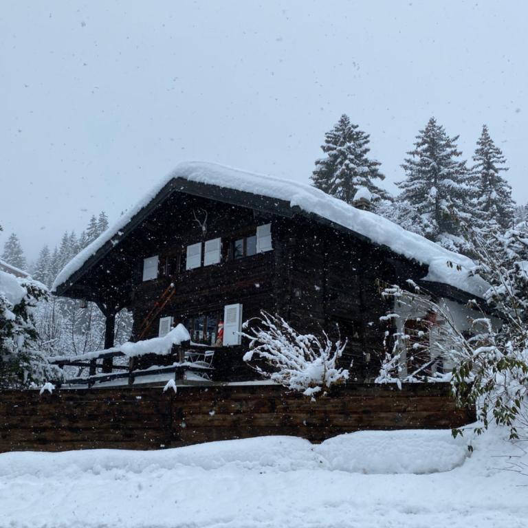 Chalet atypique Colorado Crans-Montana - Chalet 3 Chambres - 11