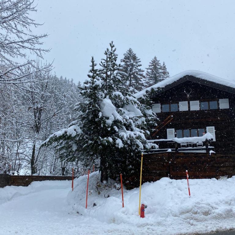 Chalet atypique Colorado Crans-Montana - Chalet 3 Chambres - 4