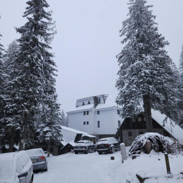 MASSIV Kopaonik centar lux apartmani - Apartman sa 1 Spavaćom Sobom i Pogledom na Park - 3