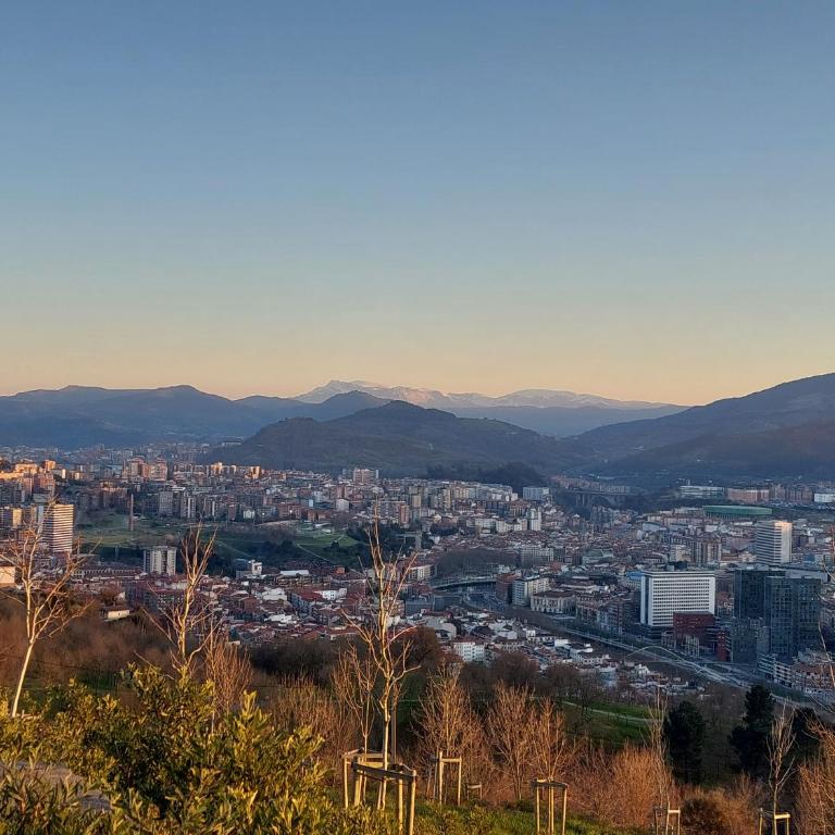Bilbao center apartamento 2 hab - Apartamento de 2 dormitorios - 29
