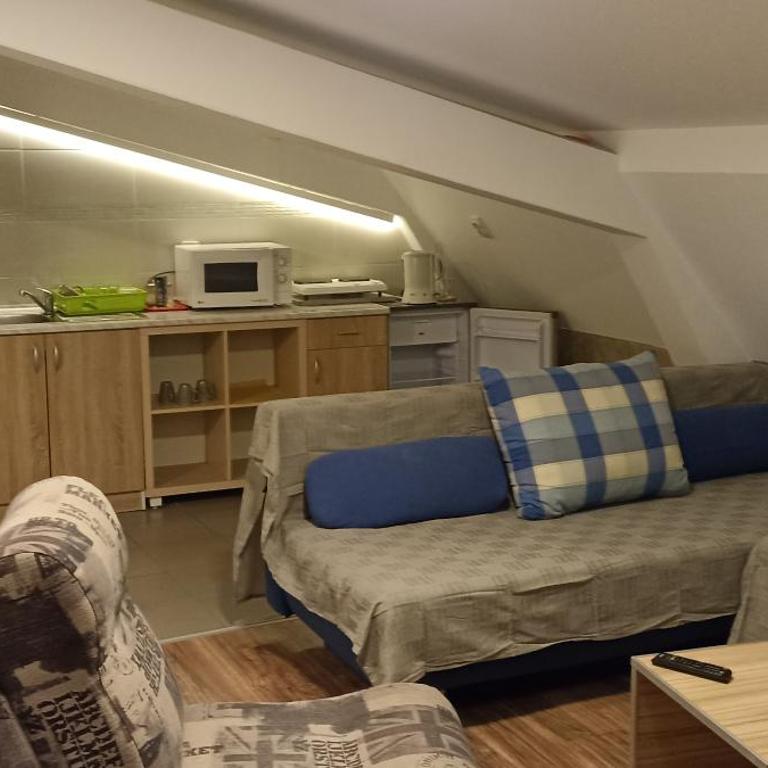 Athos Apartments - Deluks Porodični Apartman Tipa "Suite" - 4