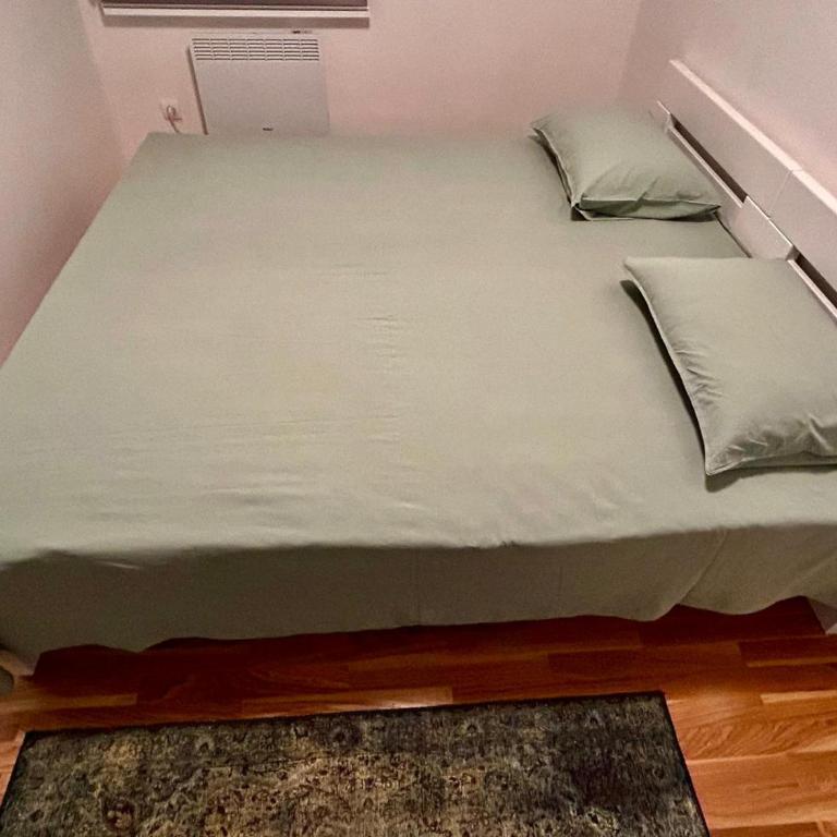 Pale Green - Two-Bedroom Apartment - 32
