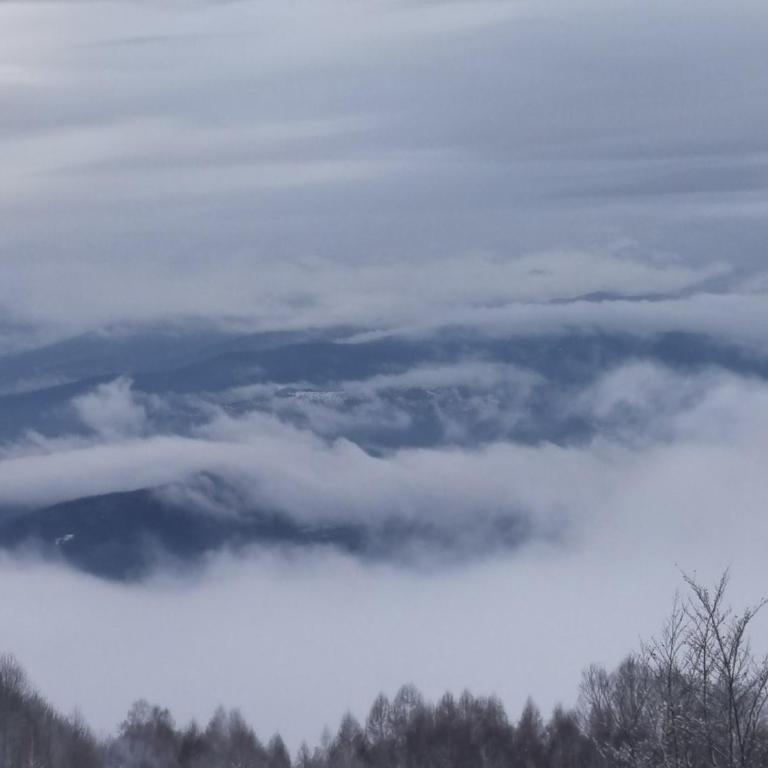 Apartman “N 17”Milmari-Kopaonik - Family Studio - 20
