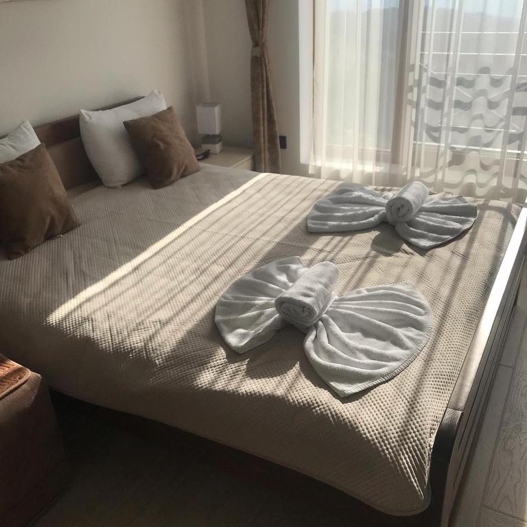 Apartman “N 17”Milmari-Kopaonik - Family Studio - 7