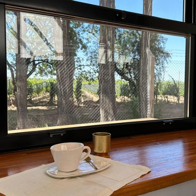 tiny house entre viñedos - Villa de 1 dormitorio - 16