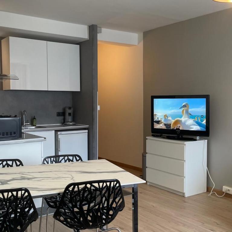 GRAND STUDIO proche du centre ville - Appartamento con 1 Camera da Letto - 9