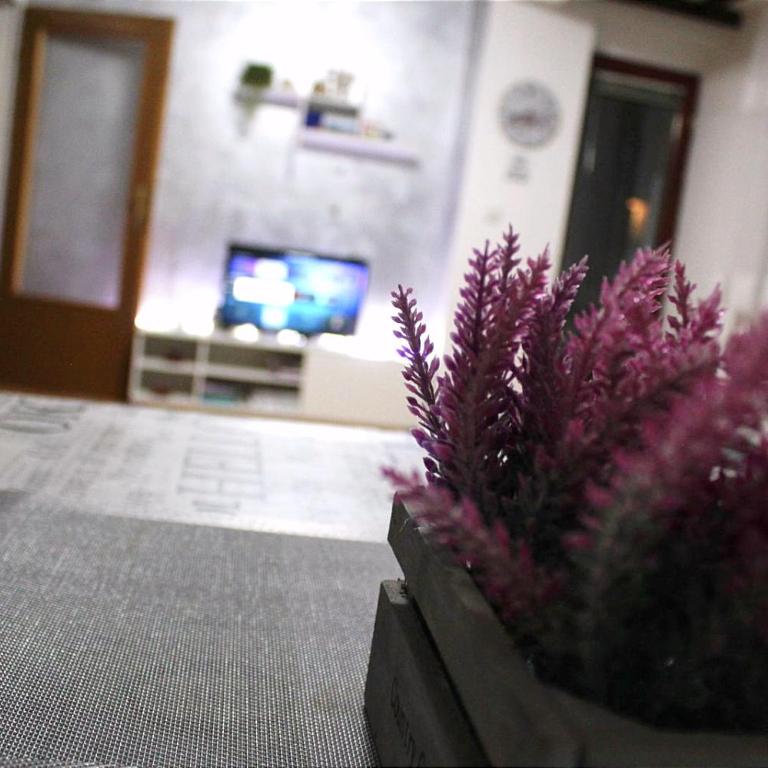 Apartman 19 - One-Bedroom Apartment - 10