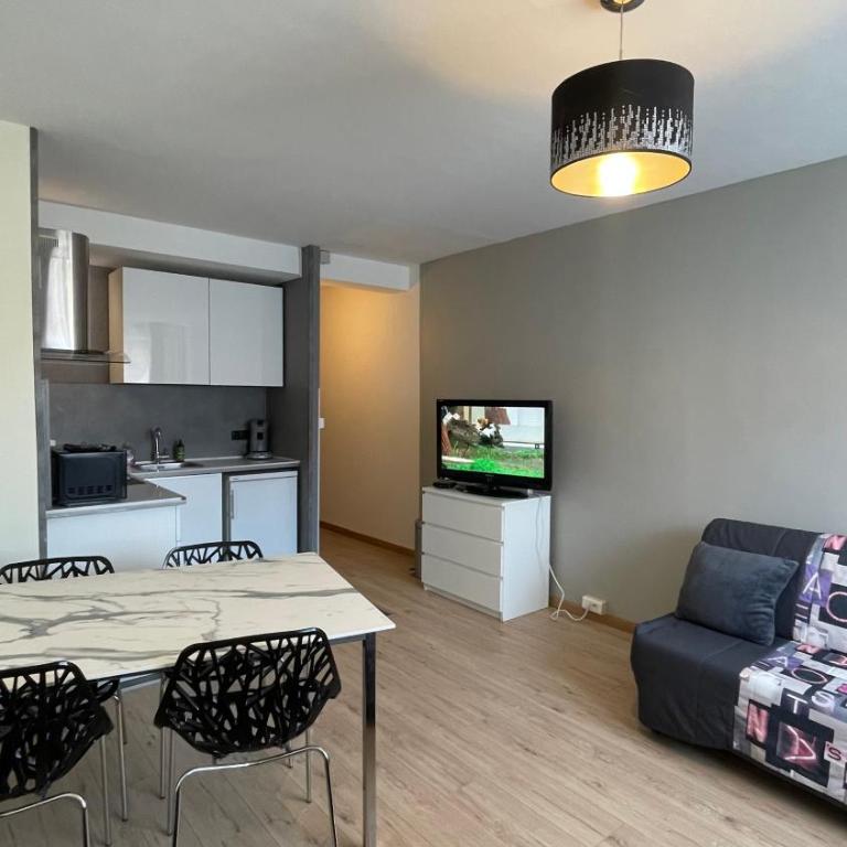 GRAND STUDIO proche du centre ville - Appartamento con 1 Camera da Letto - 8