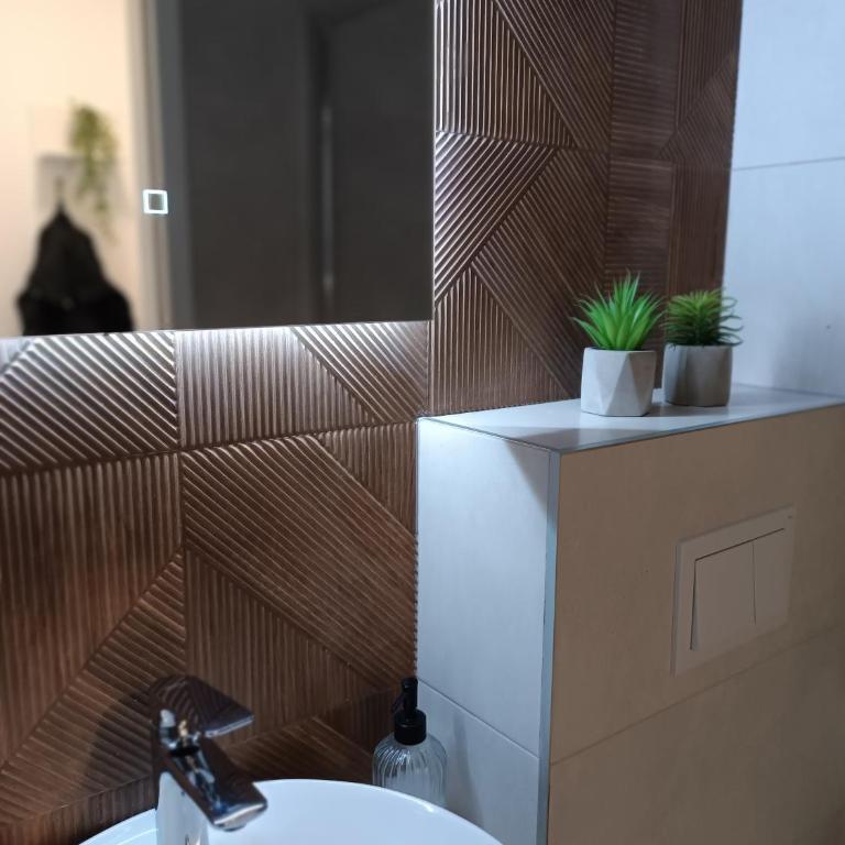 Apartman Vista Banja Luka - Apartman sa 1 Spavaćom Sobom - 20