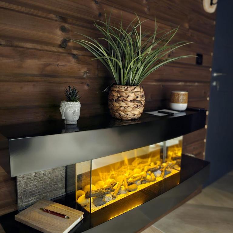 Le Chalet Loft Spa - Appartement 1 Chambre - 17