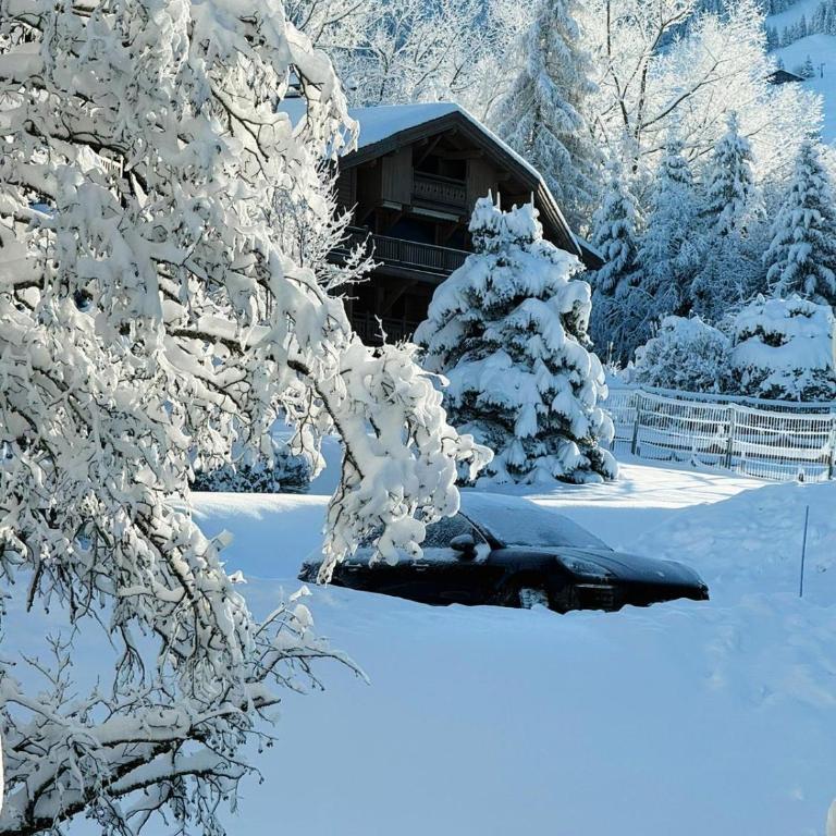 Le FLOCON du Mont Darbois classé 3 étoiles - Appartement 1 Chambre - 8