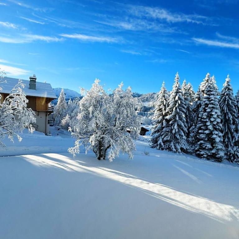 Le FLOCON du Mont Darbois classé 3 étoiles - Appartement 1 Chambre - 4