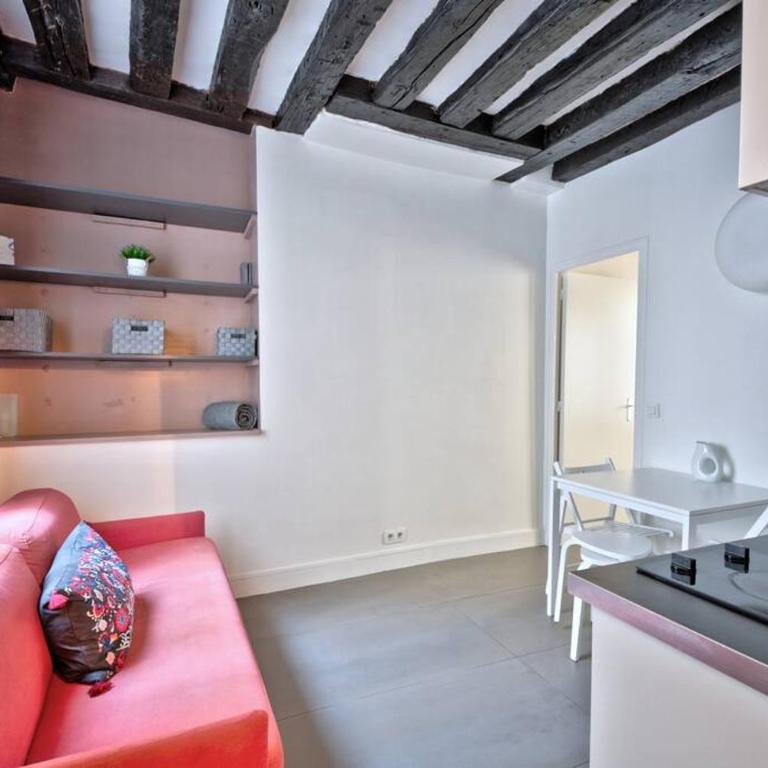 1 bedroom apt only 15 min walk to The Louvre - Apartamento de 1 dormitorio - 7