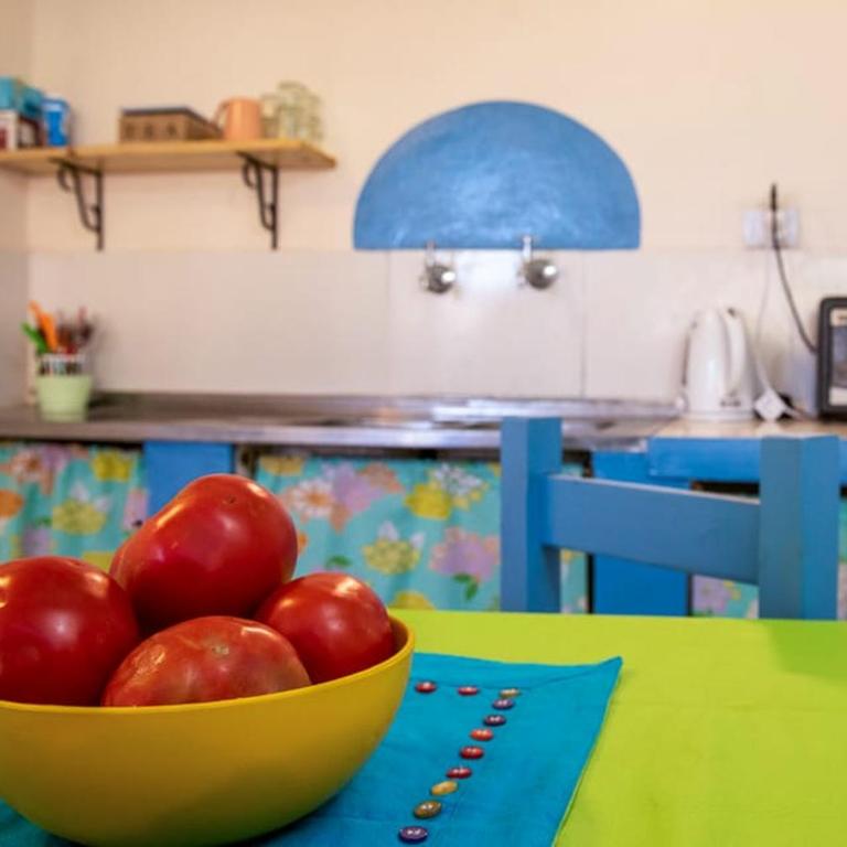 Amaragua - Apartamento de 1 dormitorio - 8