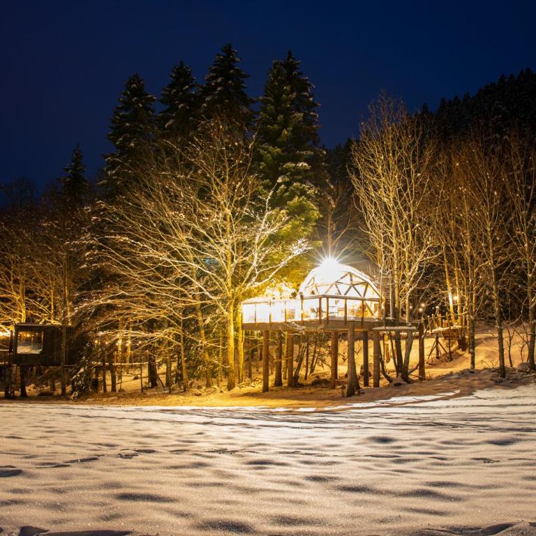 Dôme panoramique tout confort au cœur du Vercors - Chalet - 69