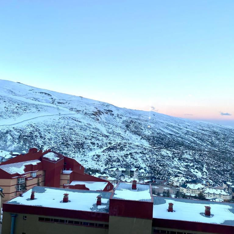 Elloft Sierra Nevada - Apartamento de 1 dormitorio - 50