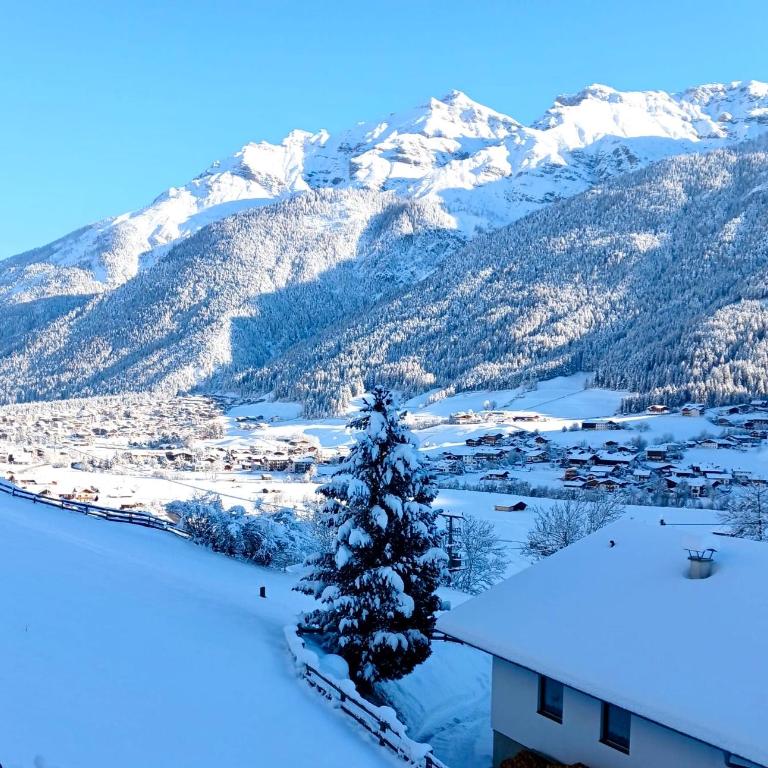 Landhaus Toni - Apartment mit Blick auf die Berge - 11