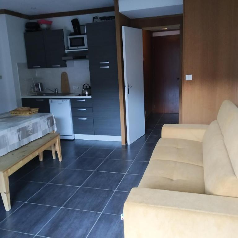 Studio Constellations d'Auron - Appartement 1 Chambre - 3