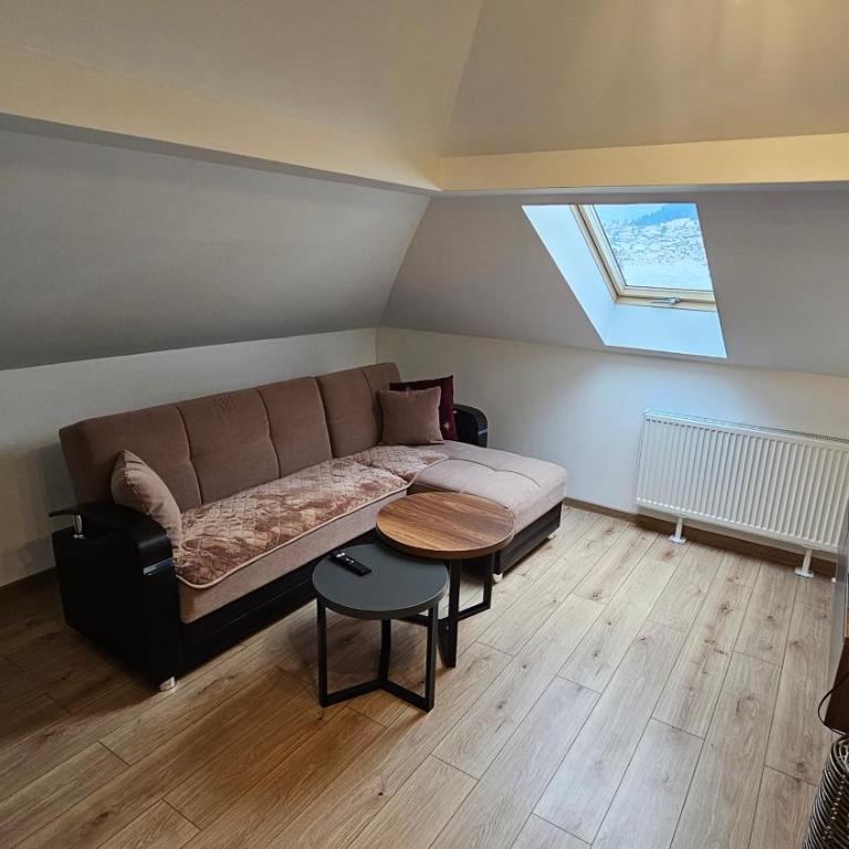 Apartmani Novak - Apartman sa 1 Spavaćom Sobom - 10