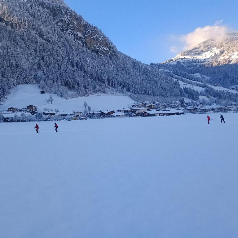 Alpenoase Horbergbahn - Appartamento con 2 Camere da Letto - 43