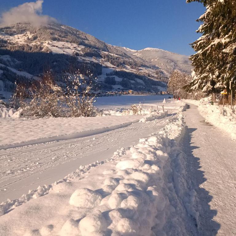 Alpenoase Horbergbahn - Appartamento con 2 Camere da Letto - 42