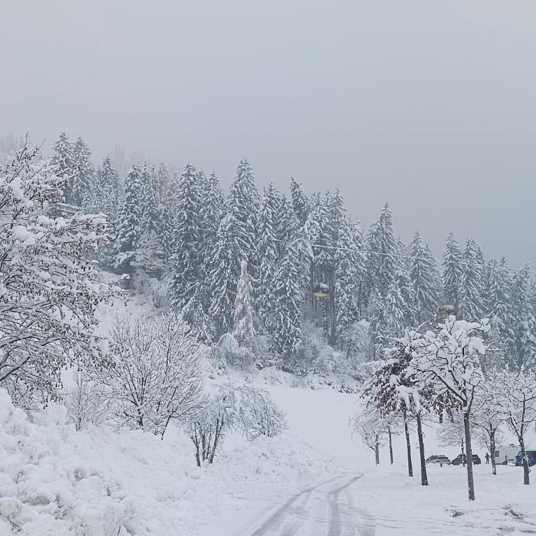Alpenoase Horbergbahn - Appartamento con 2 Camere da Letto - 38