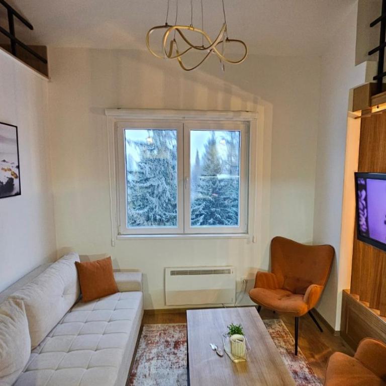 Vila Jahor - Apartmani Trifković - Apartman sa 1 Spavaćom Sobom - 8