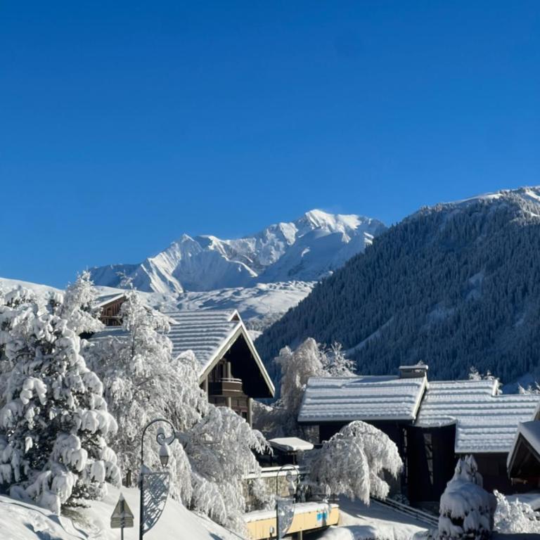 DUPLEX 50 m2 aux pieds des pistes les saisies hauteluce et contamines montjoie 6 personnes 1 chambre et un coin nuit - Appartement 2 Chambres - 11
