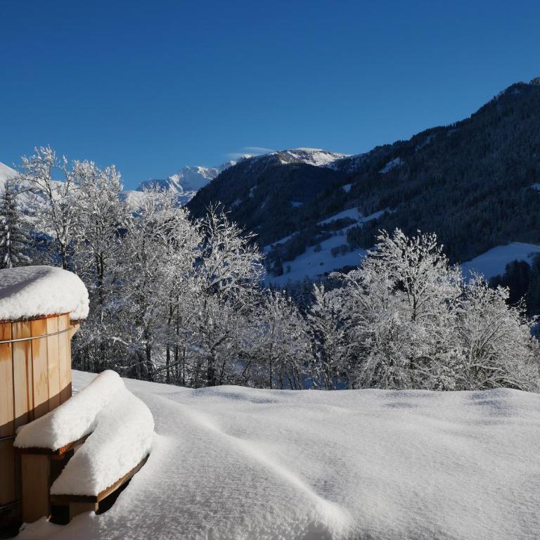 La ferme d'Hauteluce - Chalets - Chalet 3 Chambres - 15