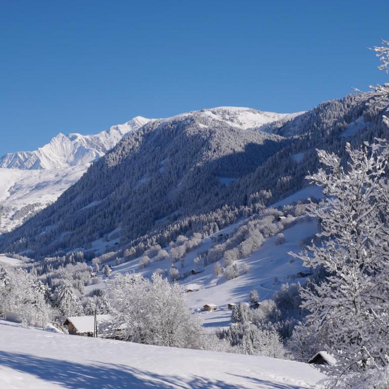 La ferme d'Hauteluce - Chambre d'hôtes - Chambre Double - Vue sur Montagne - 13