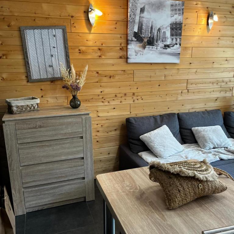 Appartement front de piste Puy-saint-Vincent - Apartamento de 1 dormitorio - 2